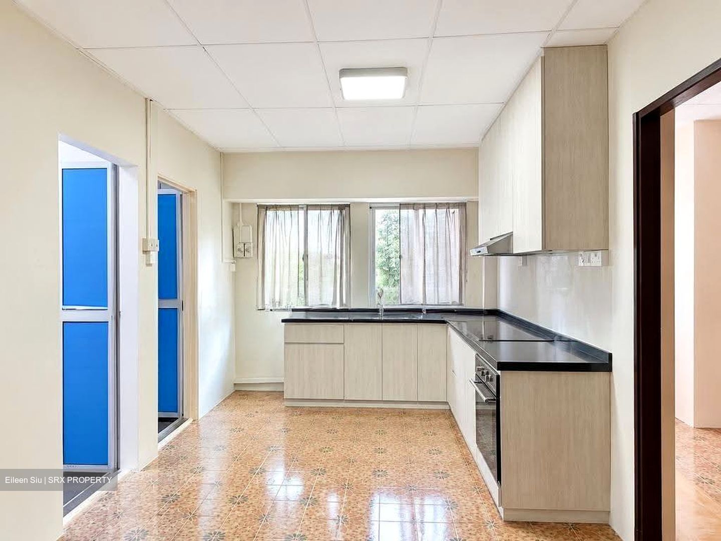 Adelphi Park Estate (D20), Shop House #636155441